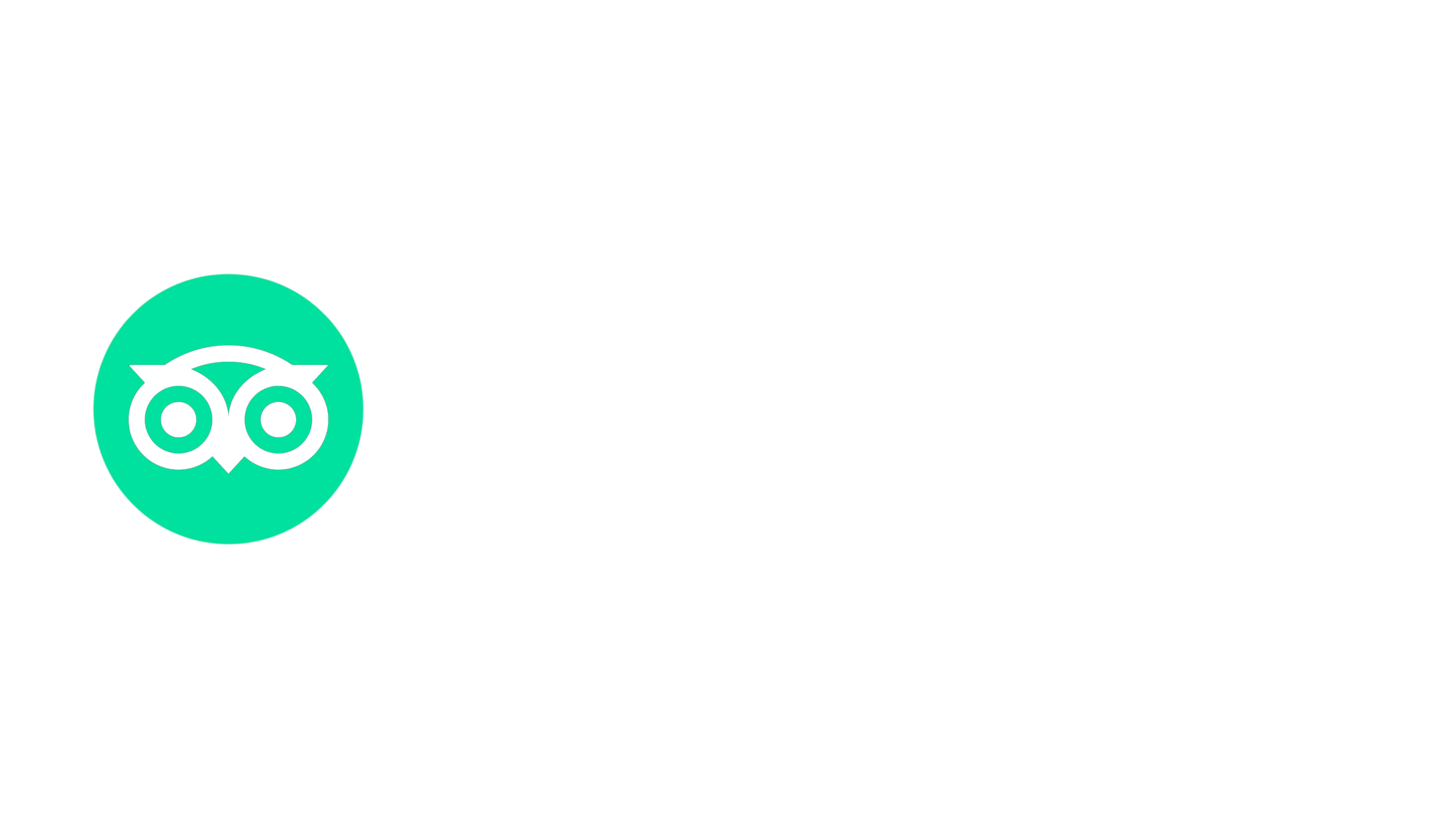 Car Travel India Logo